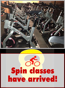 spin